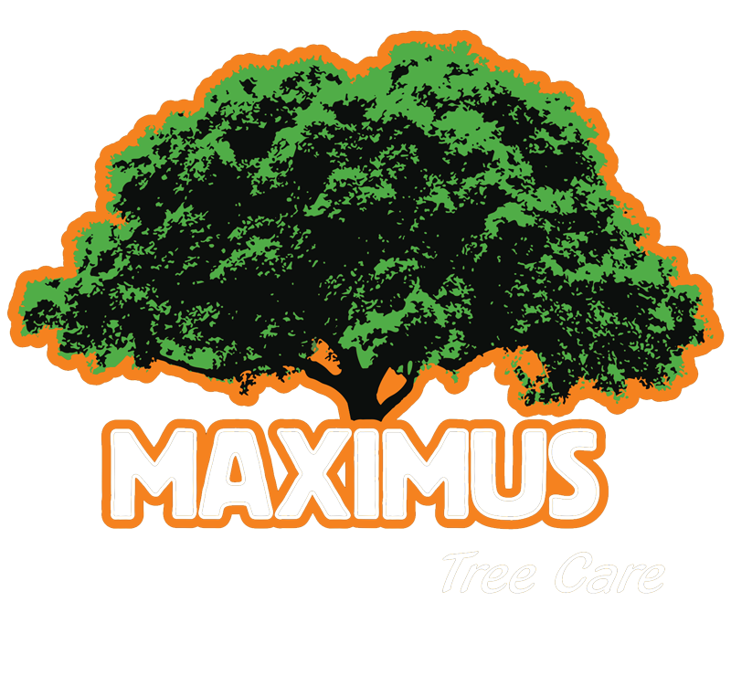 Maximus Tree Care, Horsham